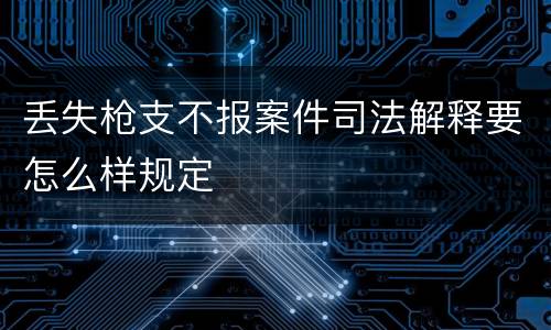 丢失枪支不报案件司法解释要怎么样规定