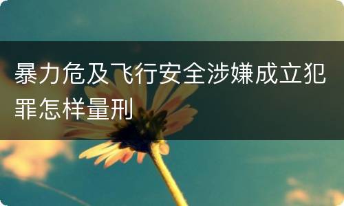 暴力危及飞行安全涉嫌成立犯罪怎样量刑