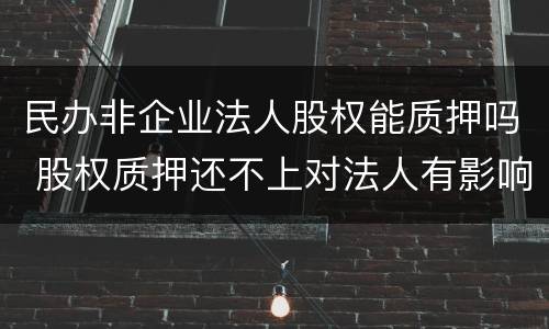 民办非企业法人股权能质押吗 股权质押还不上对法人有影响吗?