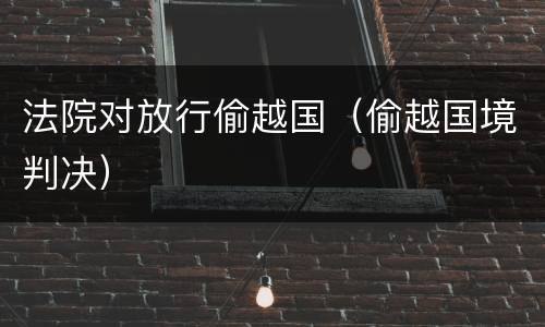 法院对放行偷越国（偷越国境判决）