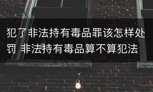 犯了非法持有毒品罪该怎样处罚 非法持有毒品算不算犯法