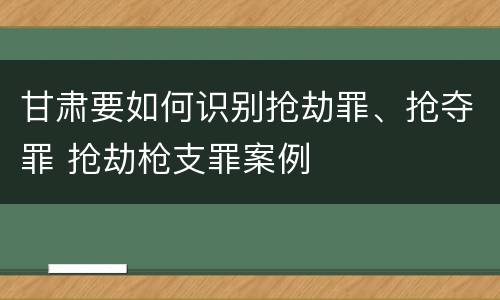 甘肃要如何识别抢劫罪、抢夺罪 抢劫枪支罪案例