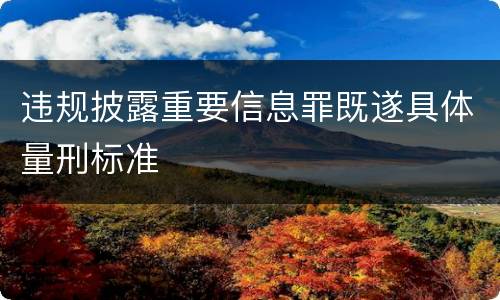 违规披露重要信息罪既遂具体量刑标准