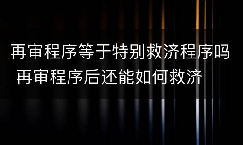 再审程序等于特别救济程序吗 再审程序后还能如何救济
