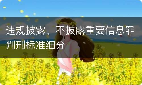 违规披露、不披露重要信息罪判刑标准细分