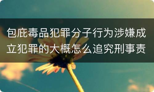 包庇毒品犯罪分子行为涉嫌成立犯罪的大概怎么追究刑事责任