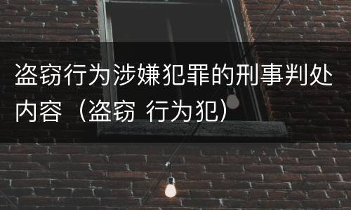 盗窃行为涉嫌犯罪的刑事判处内容（盗窃 行为犯）