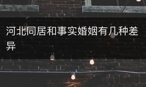 河北同居和事实婚姻有几种差异