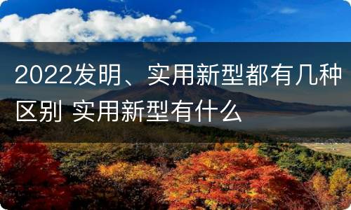 2022发明、实用新型都有几种区别 实用新型有什么