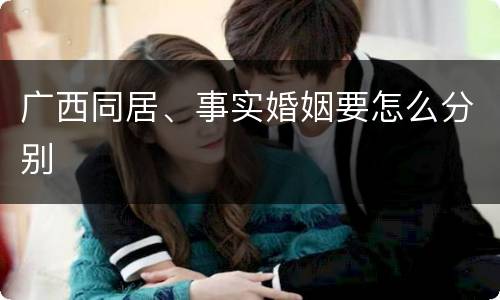 广西同居、事实婚姻要怎么分别