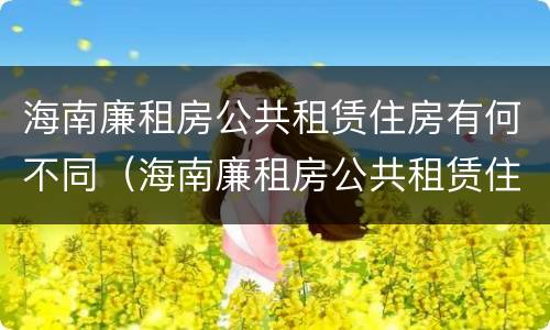 海南廉租房公共租赁住房有何不同（海南廉租房公共租赁住房有何不同规定）