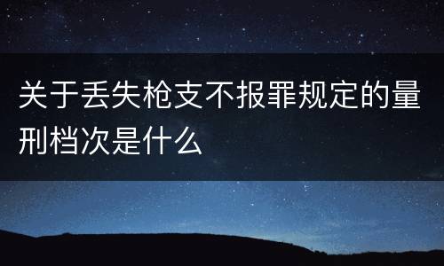 关于丢失枪支不报罪规定的量刑档次是什么