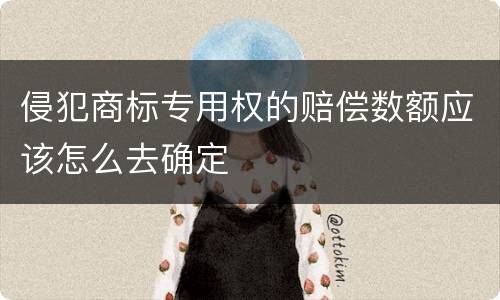 侵犯商标专用权的赔偿数额应该怎么去确定