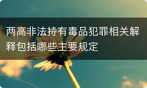 两高非法持有毒品犯罪相关解释包括哪些主要规定