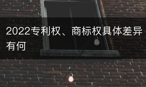 2022专利权、商标权具体差异有何
