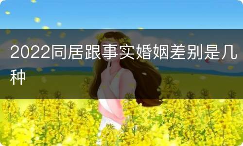 2022同居跟事实婚姻差别是几种