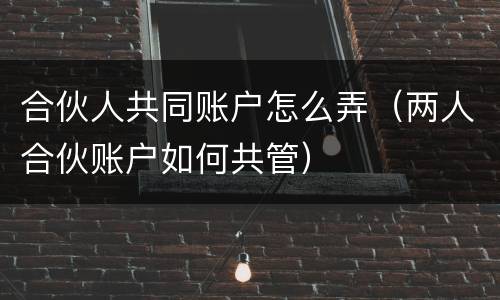 合伙人共同账户怎么弄（两人合伙账户如何共管）