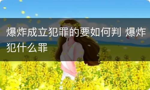 爆炸成立犯罪的要如何判 爆炸犯什么罪