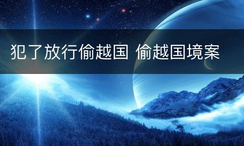 犯了放行偷越国 偷越国境案