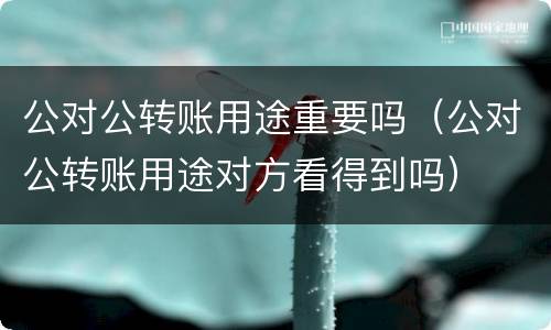 公对公转账用途重要吗（公对公转账用途对方看得到吗）