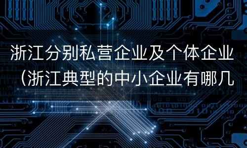 浙江分别私营企业及个体企业（浙江典型的中小企业有哪几家）