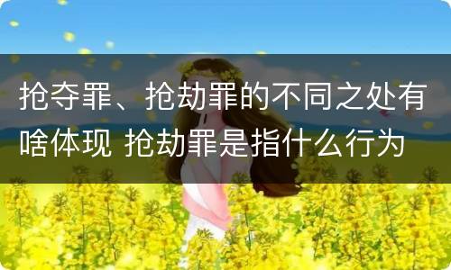 抢夺罪、抢劫罪的不同之处有啥体现 抢劫罪是指什么行为