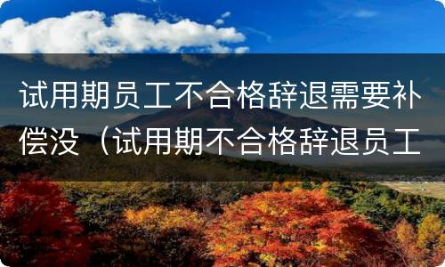 试用期员工不合格辞退需要补偿没（试用期不合格辞退员工不接受怎么办）