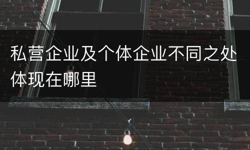 私营企业及个体企业不同之处体现在哪里