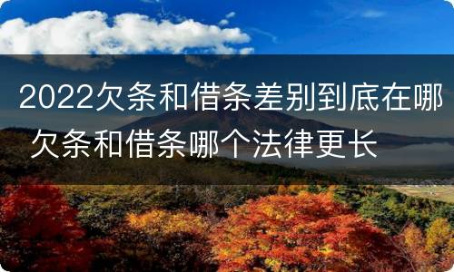 2022欠条和借条差别到底在哪 欠条和借条哪个法律更长