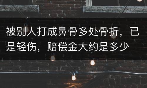 被别人打成鼻骨多处骨折，已是轻伤，赔偿金大约是多少