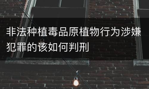 非法种植毒品原植物行为涉嫌犯罪的该如何判刑