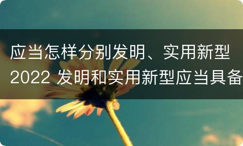 应当怎样分别发明、实用新型2022 发明和实用新型应当具备