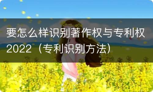 要怎么样识别著作权与专利权2022（专利识别方法）