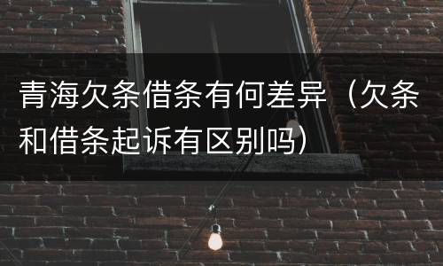 青海欠条借条有何差异（欠条和借条起诉有区别吗）