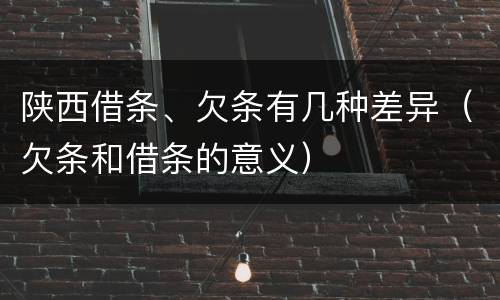 陕西借条、欠条有几种差异（欠条和借条的意义）