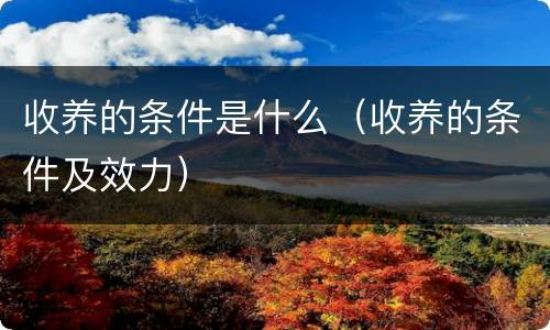 收养的条件是什么（收养的条件及效力）