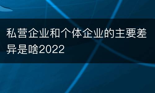 私营企业和个体企业的主要差异是啥2022
