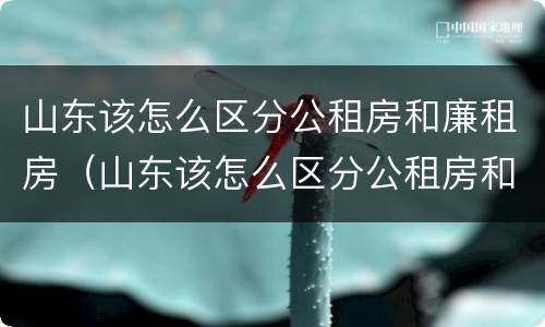 山东该怎么区分公租房和廉租房（山东该怎么区分公租房和廉租房呢）