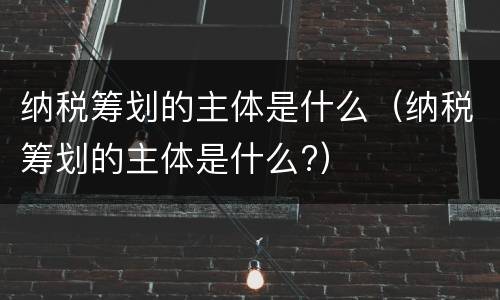 纳税筹划的主体是什么（纳税筹划的主体是什么?）