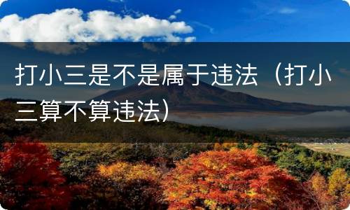打小三是不是属于违法（打小三算不算违法）