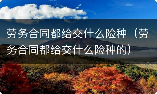 劳务合同都给交什么险种（劳务合同都给交什么险种的）