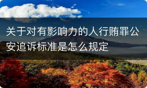 关于对有影响力的人行贿罪公安追诉标准是怎么规定