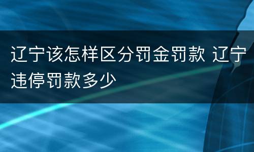 辽宁该怎样区分罚金罚款 辽宁违停罚款多少