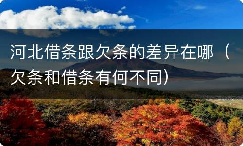 河北借条跟欠条的差异在哪（欠条和借条有何不同）