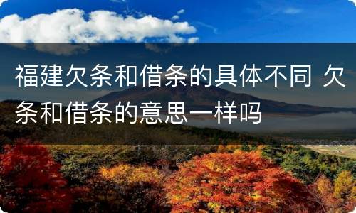 福建欠条和借条的具体不同 欠条和借条的意思一样吗