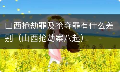 山西抢劫罪及抢夺罪有什么差别（山西抢劫案八起）