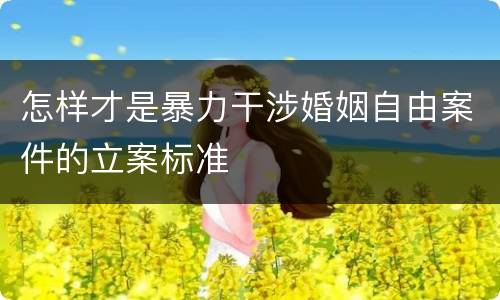 怎样才是暴力干涉婚姻自由案件的立案标准