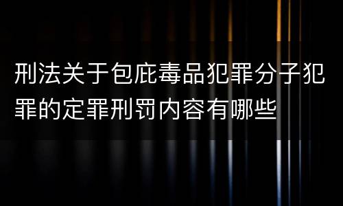 刑法关于包庇毒品犯罪分子犯罪的定罪刑罚内容有哪些