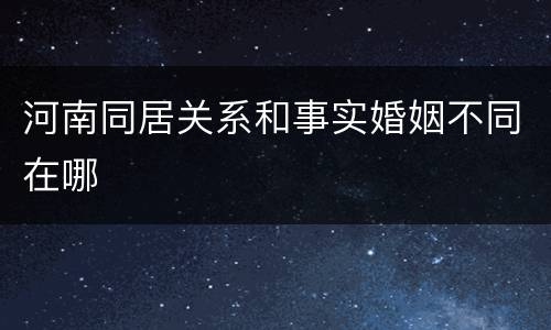河南同居关系和事实婚姻不同在哪
