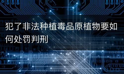 犯了非法种植毒品原植物要如何处罚判刑